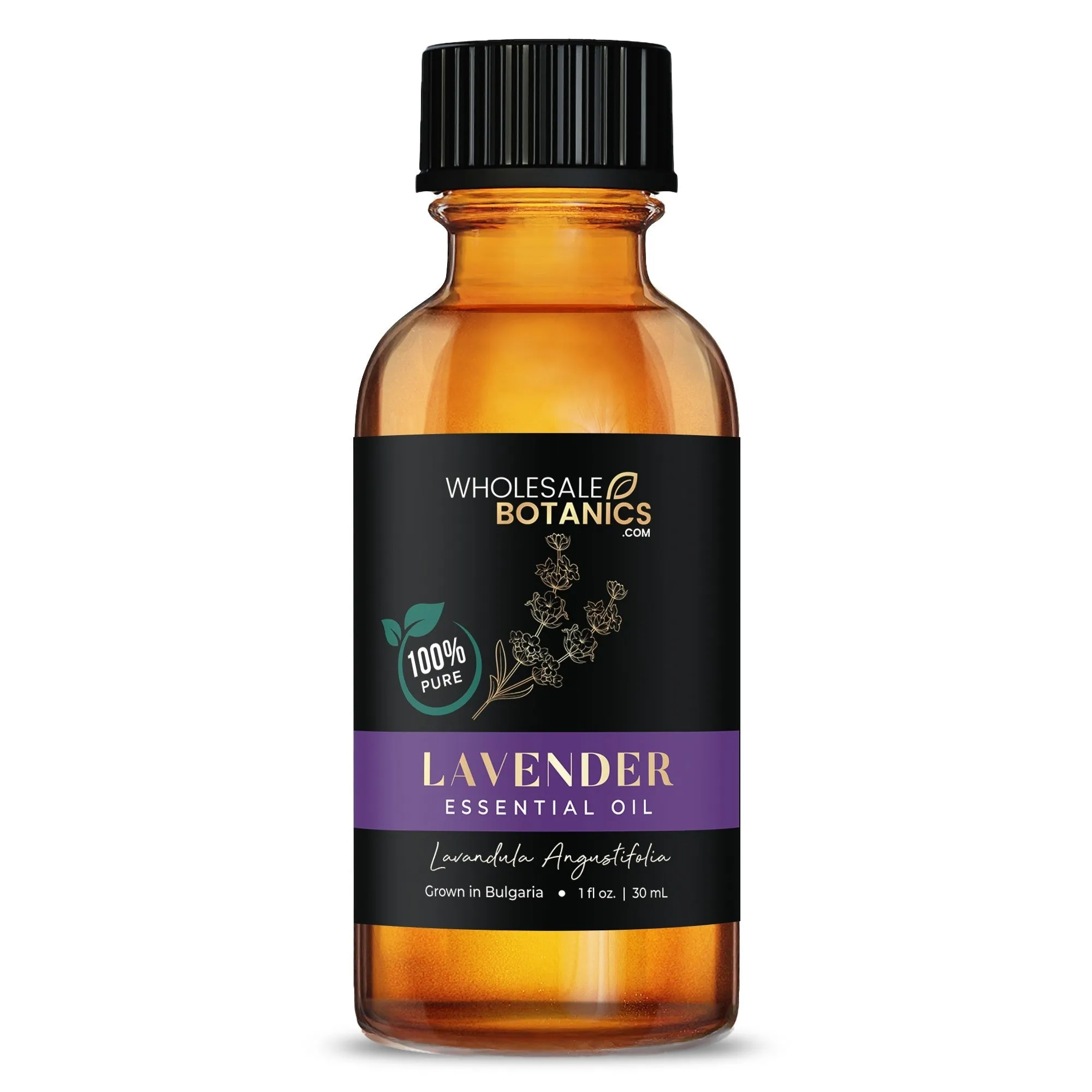 Lavandula Angustifolia Essential Oil - Richard Estalella