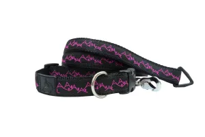 Leash - 6ft Long -1" Wide