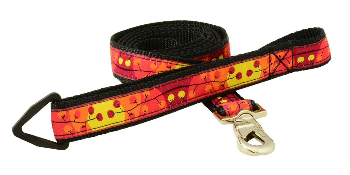 Leash - 6ft Long -1" Wide