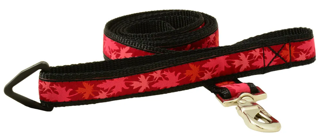 Leash - 6ft Long -1" Wide