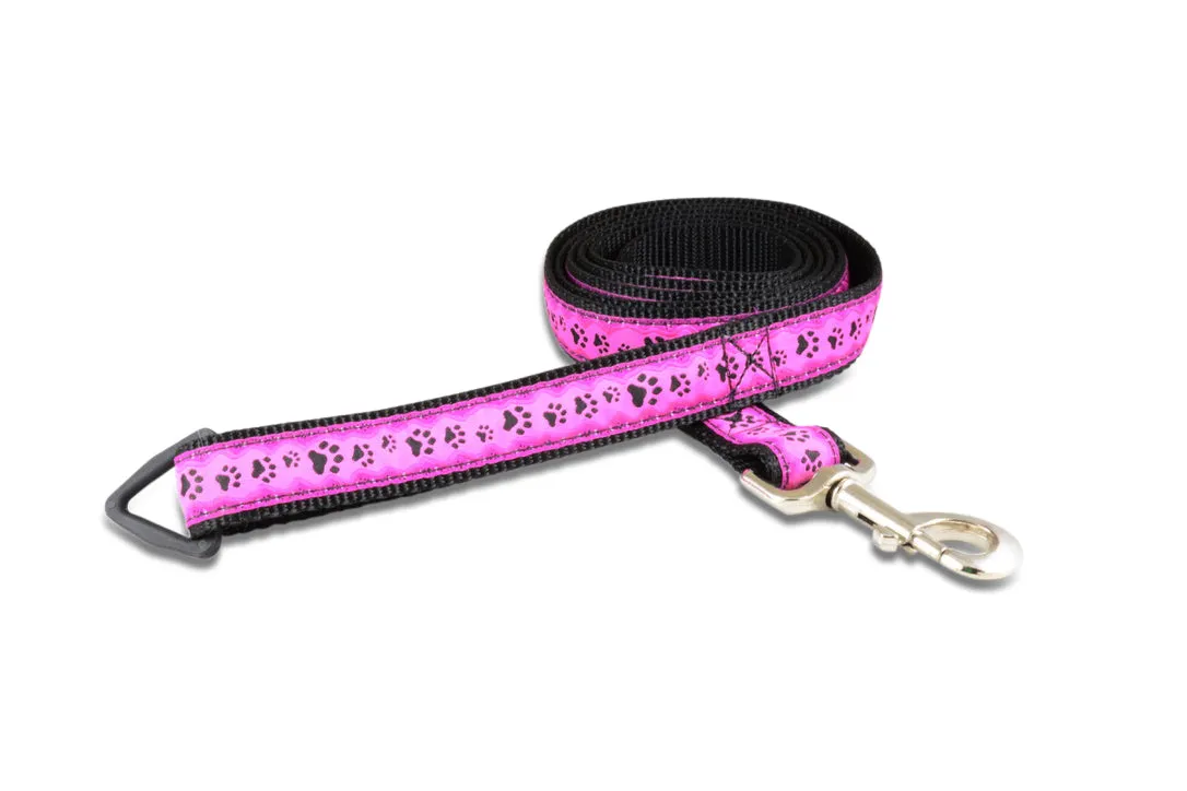 Leash - 6ft Long -1" Wide