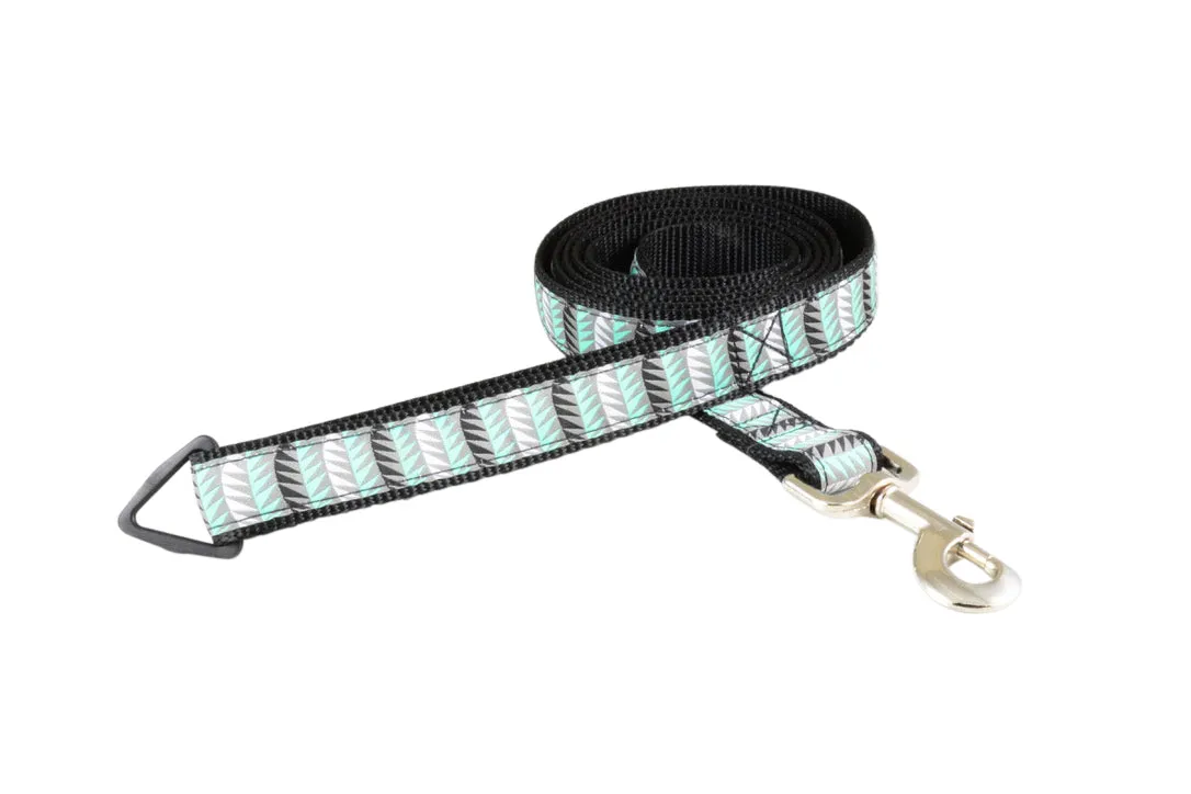 Leash - 6ft Long -1" Wide